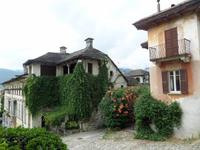 Orta