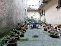 Orta