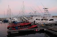Faial: Hafen von Horta am Abend