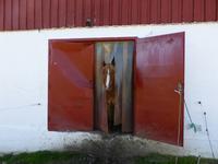 Im Wikingermuseum von Borg