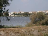 Camargue