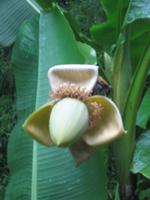 Zoologischer Garten in Champrépus