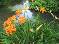 Giverny