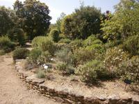 Botanischer Garten Pont du Gard