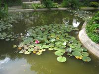Garten in Cherbourg