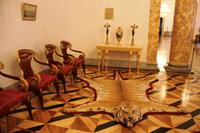 102Alexanderpalast in Puschkin