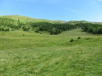 IMG_0035
