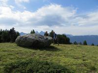 IMG_0037