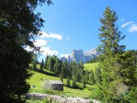 IMG_0059
