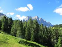 IMG_0061