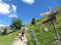 IMG_0082