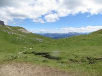 IMG_0088