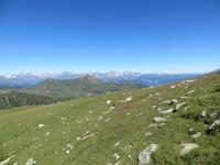 IMG_0246