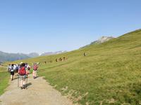 IMG_0407