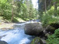 In der Gilfenklamm