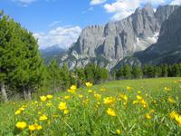 Vom Grödner- ins Gardertal