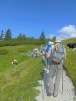 Wanderung zum Telfer Weißen