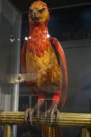 Fawkes der Phönix