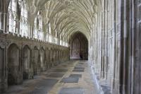 hier hat Harry Snape und Draco belauscht