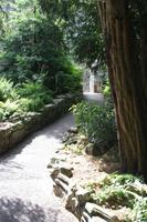 Garten bei der St. Mary´s Abbey in York