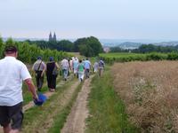 Auf dem Weinberg