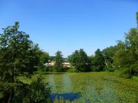 Internationale Gartenschau in Hamburg