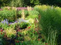 Internationale Gartenschau in Hamburg