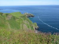 Causeway Coastal Route