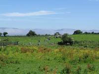 Carrowmore
