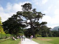 Muckross House and Garden