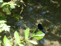  Zadar - Impressionen