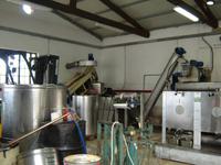 Korfu - Oelherstellung