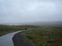 003 Weg zum Goldenen Wasserfall
