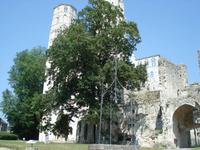 Ruine der Abtei von Jumièges