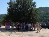 Immer auf der Suche nach einem schattigen Plätzchen