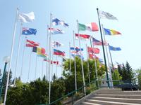 Mietgliedsstaaten der Olympischen Winterspiele 1988