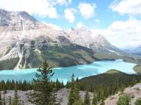 Peyto Lake auf dem Icefields Parkway