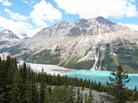 Peyto Lake auf dem Icefields Parkway