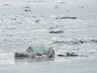 Eisberg am Hubbard Gletscher