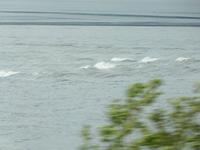 Stromschnellen in Alaska (Nähe Anchorage)