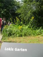 Loki Schmidt Garten
