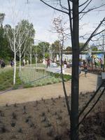 schwarz - weiß Garten