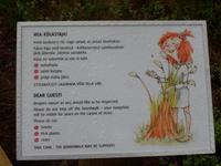 im Lahemaa NP, lustig