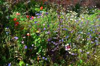 023 Arundel Castle & Garden