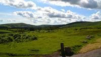 076 Dartmoor