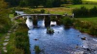 079 Dartmoor-Clapper Bridge