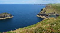 113 Boscastle