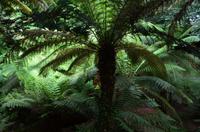 139 Trewidden Garden