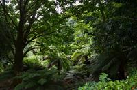 142 Trewidden Garden