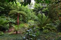 143 Trewidden Garden